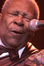 Концертные фотографии 